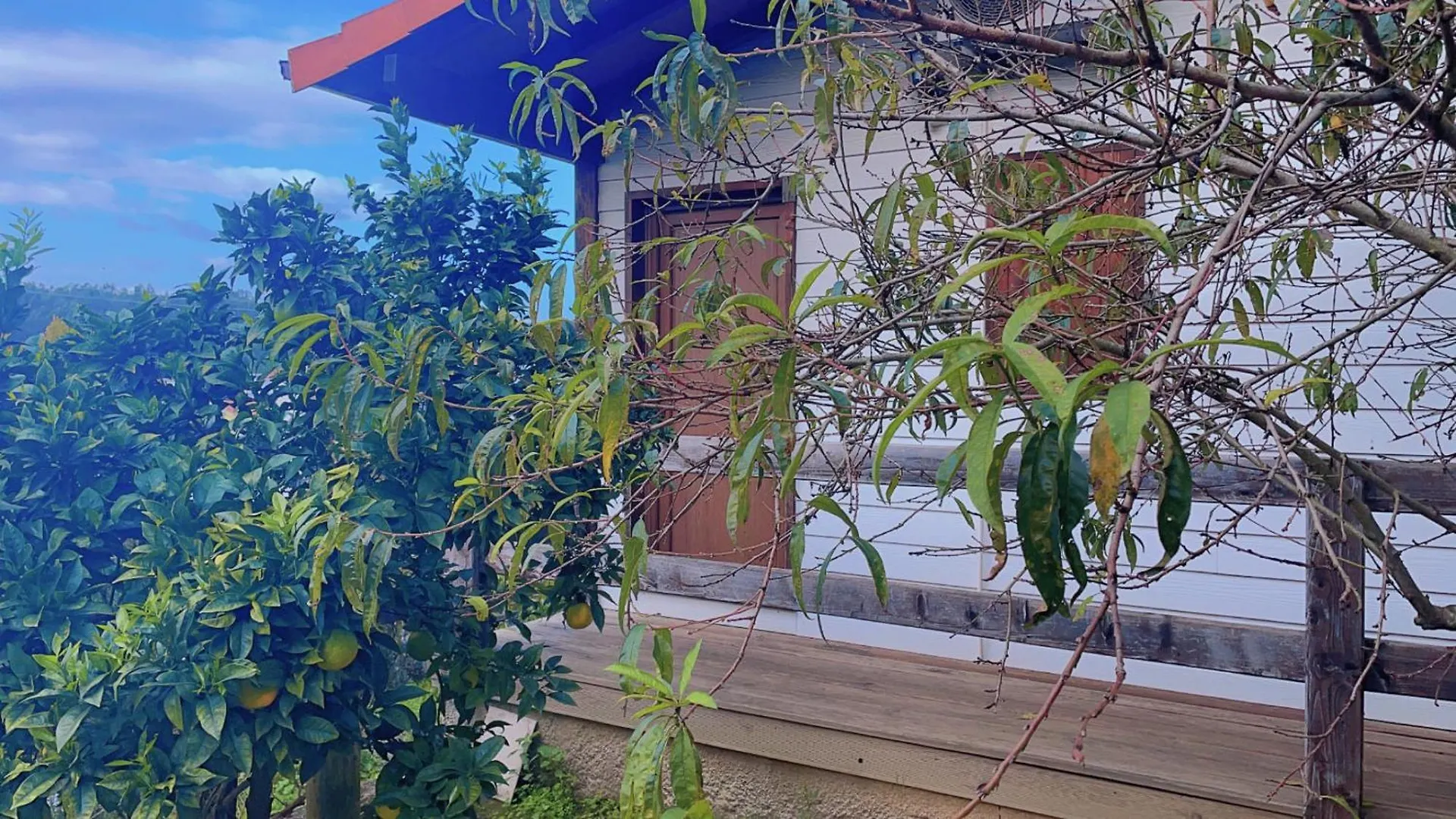 Jantesta Guest House Coimbra
