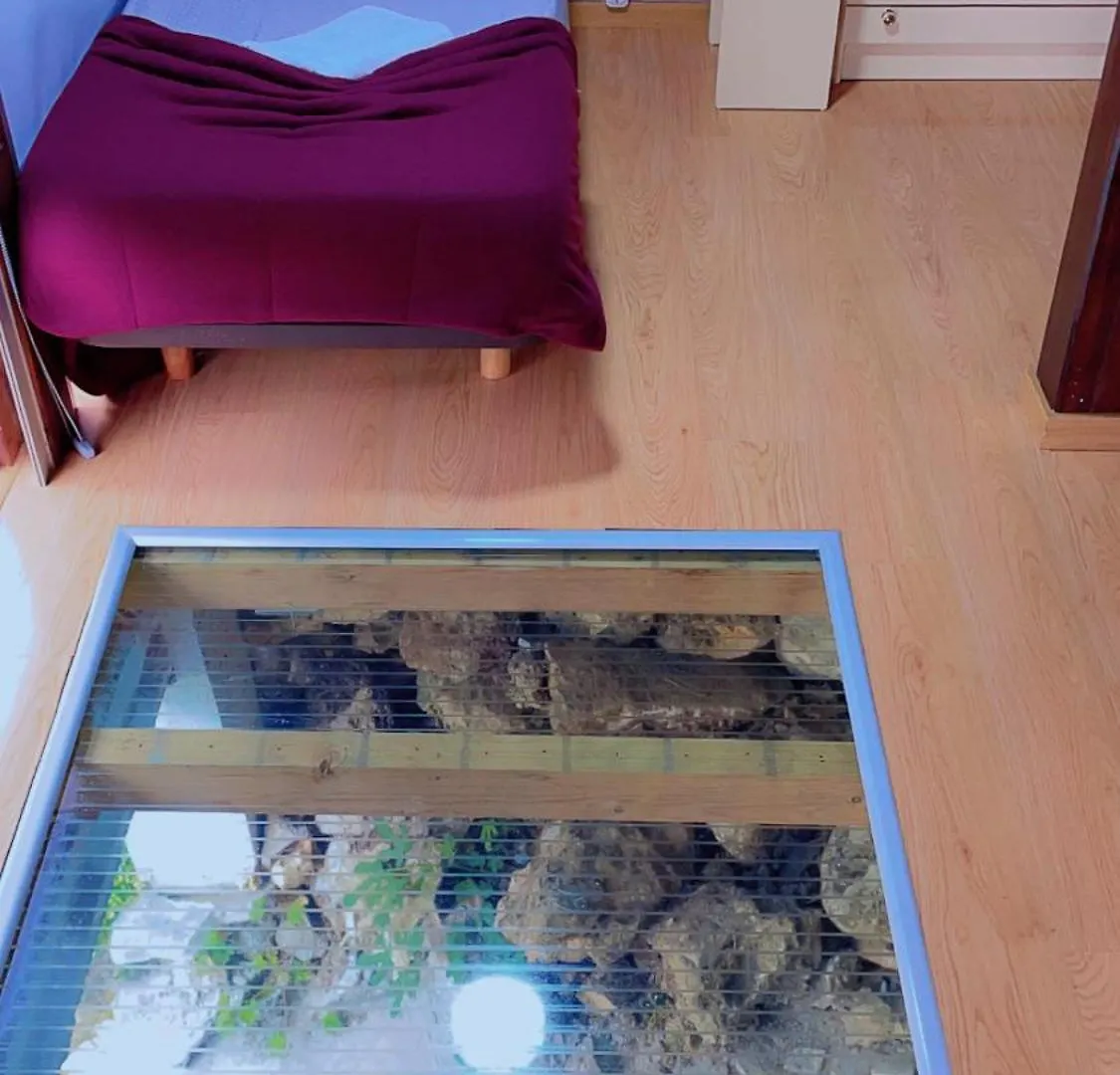 Jantesta Guest House Coimbra