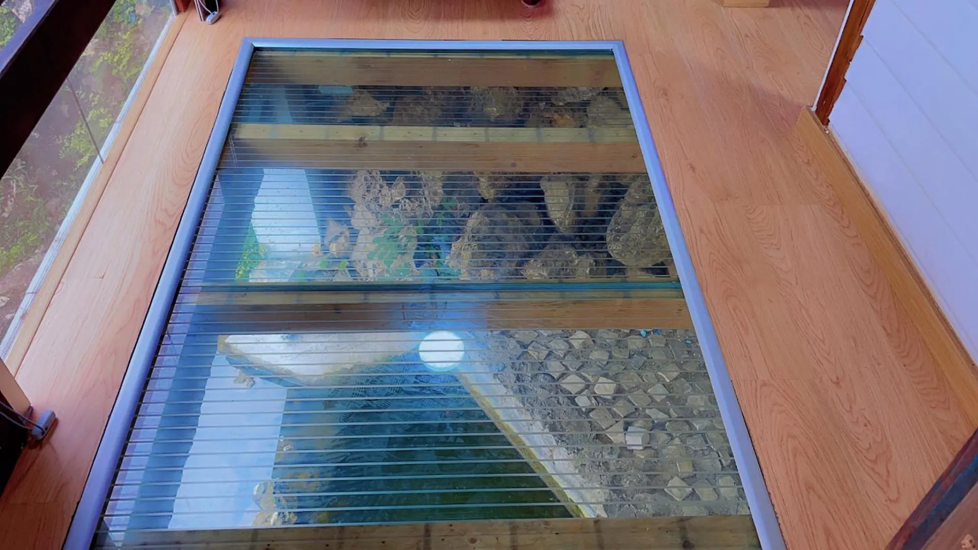Jantesta Guest House Coimbra
